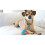 Chuckit! Chuckit Ultra Squeaker Ball Medium 1-pack 5