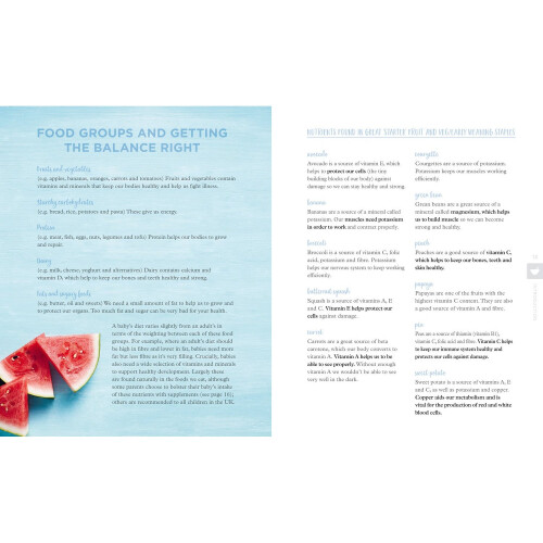 Truly Scrumptious Baby: Complete feeding & weaning plan for 6 months and beyond 2
