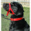 HALTI Headcollar Red Size 1 6