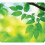 Fellowes Fellowes 59038 Earth Series Mouse Pad Leaves 6 pack 1