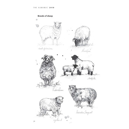 The Almanac: A Seasonal Guide to 2018 2