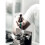 Wera Kraftform Micro-Set/12 SB 1 Screwdriver set for electronic applications, 12pc 8