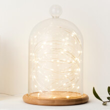Battery Operated Fairy Lights with 50 Micro Warm White LEDs on Silver Wire