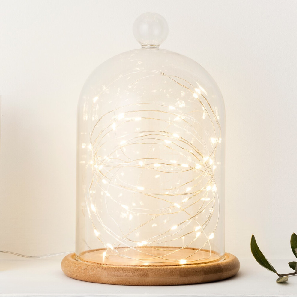 Battery Operated Fairy Lights with 50 Micro Warm White LEDs on Silver Wire