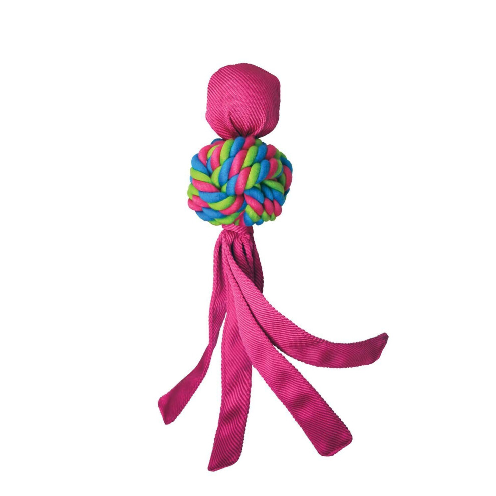 Kong Wubba Weaves Dog Toy, Small