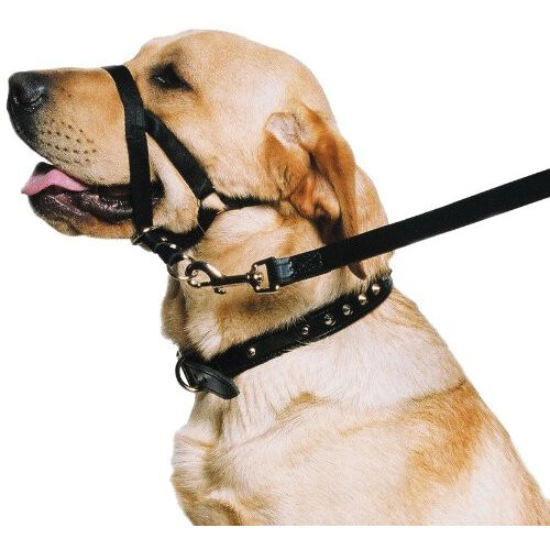 Ancol "Ancol - Dog Training Halter - Head Collar - Helps Stop Pulling - Size: M (3-4)"