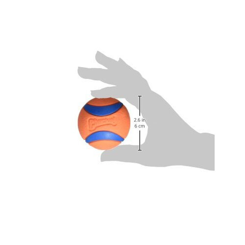 Chuckit! Chuckit Ultra Ball M 1-Pack 2