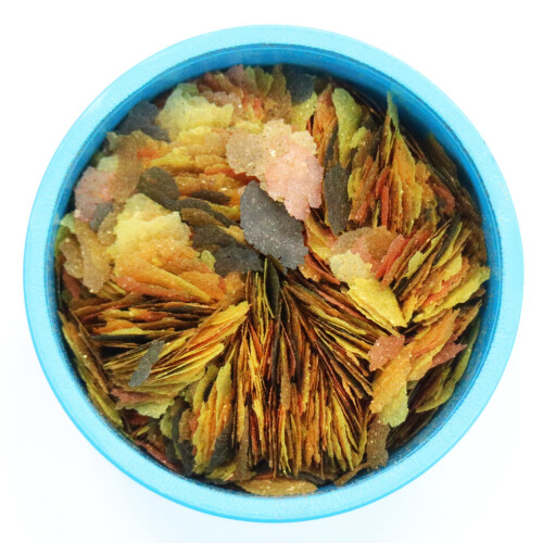 API AQUARIAN Complete Nutrition, Tropical Fish Food Flakes, 50g Container 1