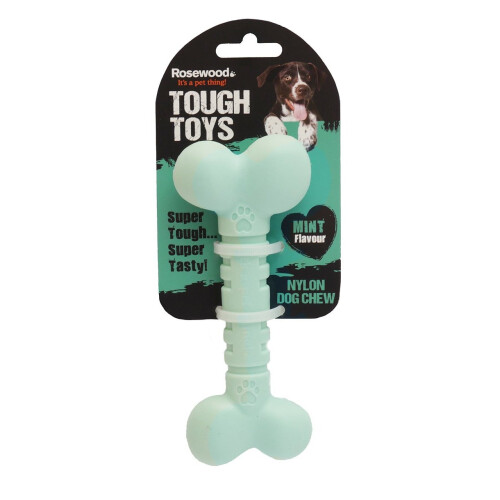 Rosewood Rosewood Nylon Dog Chew Mint Bone, Large 1