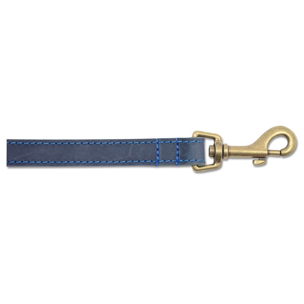 Ancol Timberwolf Leather Dog Lead, 1 m, Blue