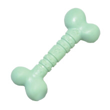 Rosewood Nylon Dog Chew Mint Bone, Large