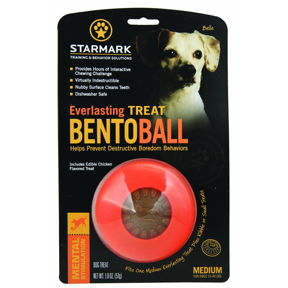 STARMARK Everlasting Bento Ball for Dogs, Medium