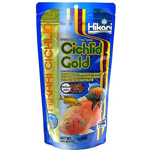 Hikari Hikari Cichlid Gold Sinking Mini Pellets (Size: 342g)