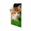 3M Command Poster Hanging Strips Value Pack, Small, White, 60-Strips (17024-60ES) 3