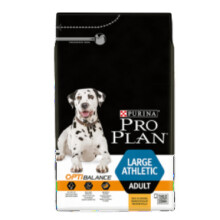PRO PLAN Cane Grande Adulto Atletica Nutrizione Quotidiana Pollo 14KG Crocchette per cane adulto