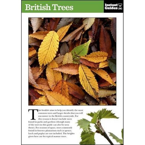 British Trees: The Instant Guide (Instant Guides)