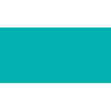 Amsterdam Standard Acrylic Paint 250ml-Turquoise Green