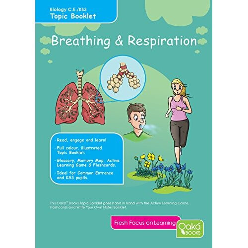 Breathing Respiration