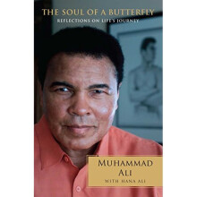 The Soul of a Butterfly: Reflections on Life's Journey