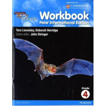 Heinemann Explore Science 2nd International Edition Workbook 4 (Primary Explore Science International Edition)