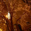Amir Solar Powered LED String Lights, (200 LED 8 Modes) 72ft 22m, (Warm white) 7