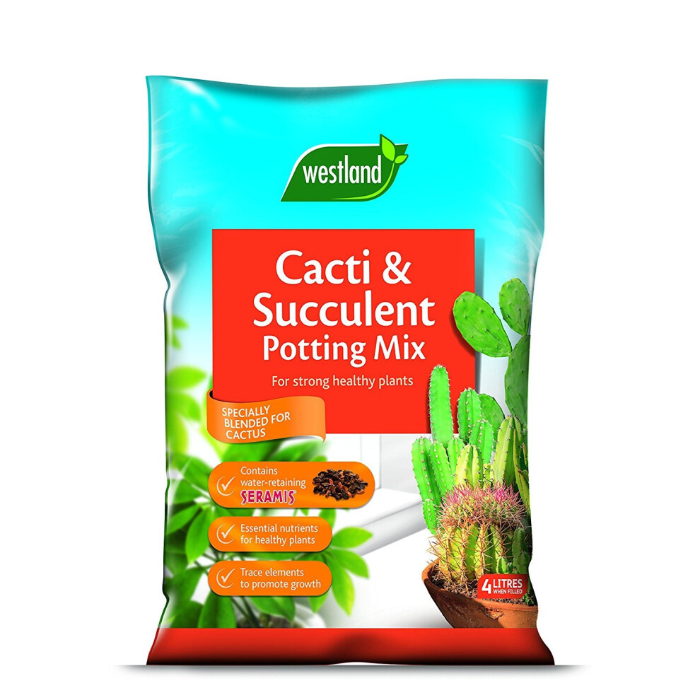 Westland Cacti & Succulent Potting Mix | Succulent Soil Cactus Compost