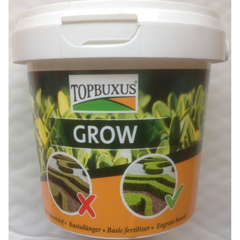 TOPBUXUS GROW, 500g for 10m2 Boxwood, no yellow leaves, do what the grower does!