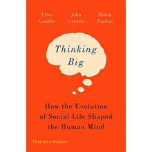 Thinking Big: How the Evolution of Social Life Shaped the Human Mind