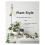 Plant Style: How to greenify your space 1