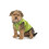 Ancol Muddy Paws Nordic Dog Coat Green Xlarge 1