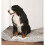 Arctic Box Duvet Cover Medium 88x67x12cm 1