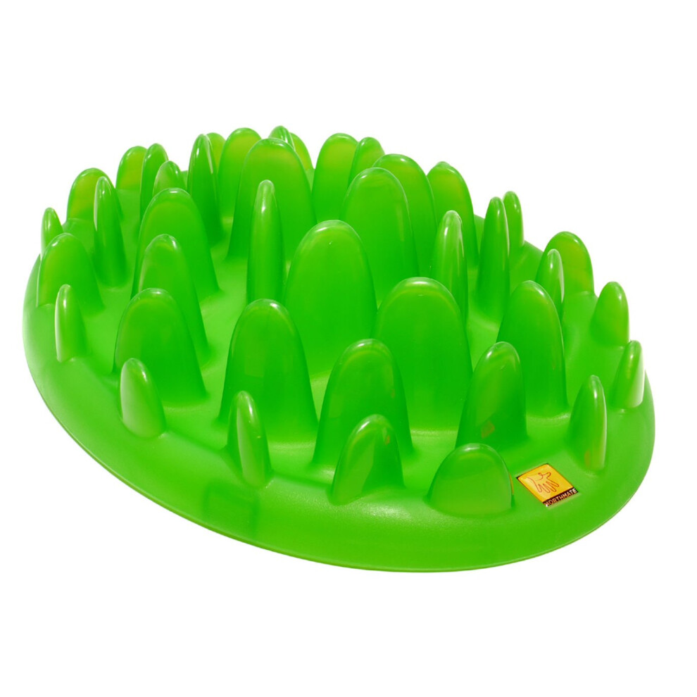 Green Interactive Feeder