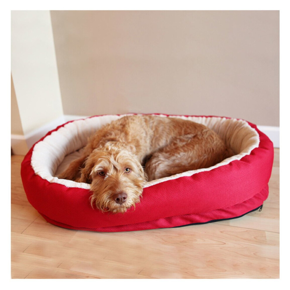 40 Winks Orthopedic Bed Red 86cm (34'')