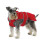Ancol Muddy Paws Stormguard Fleece Lined Coat & Chest Protector Red Large 1