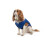 Ancol Ancol Cooling Dog Vest Coat, X-Small 1