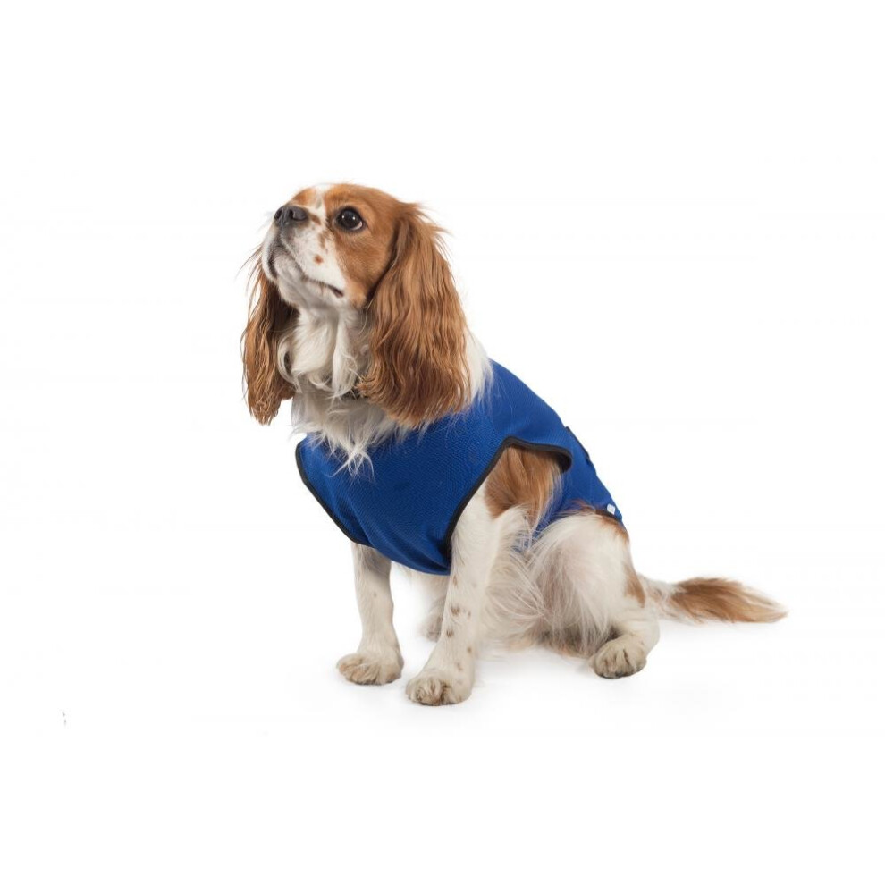 Ancol Cooling Dog Vest Coat, X-Small