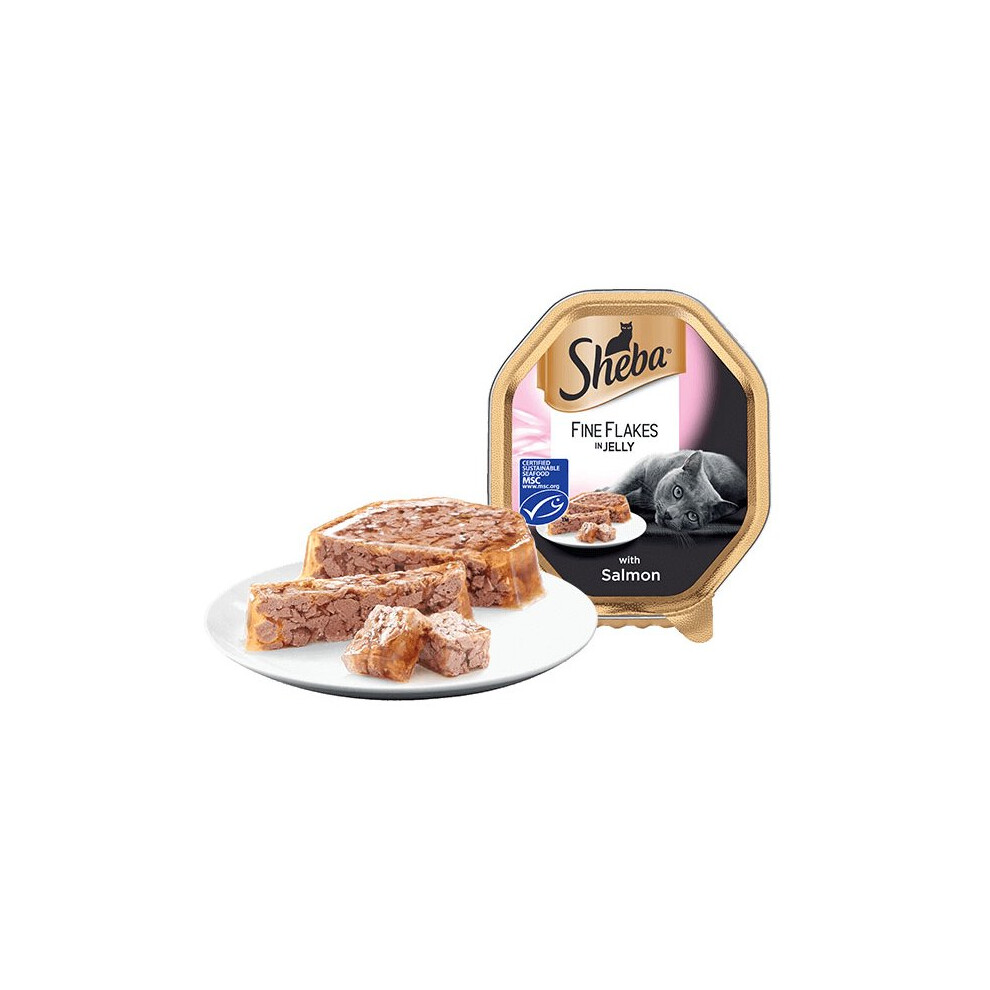 Sheba Tray Fine Flakes With Salmon In Jelly 85G (Pack Of 22)