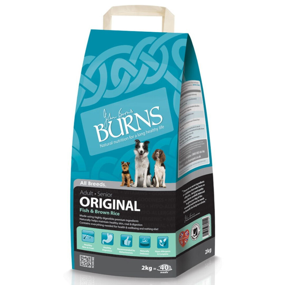 Burns Original Adult Fish 2kg