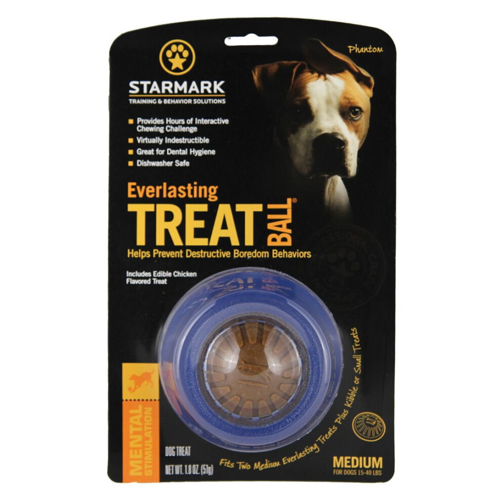 Starmark Everlasting Treat Ball Medium