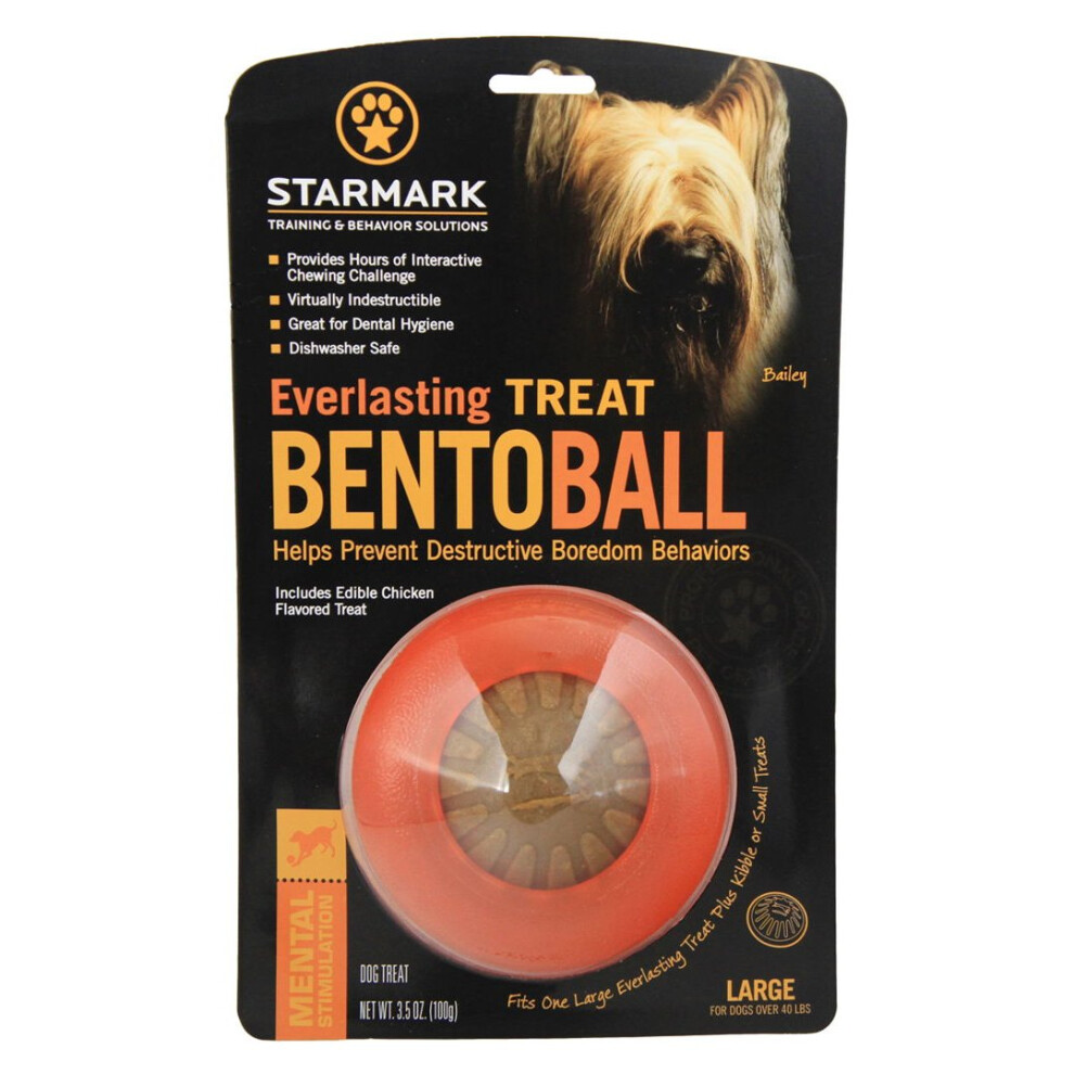 Rosewood Starmark Bento Ball Large