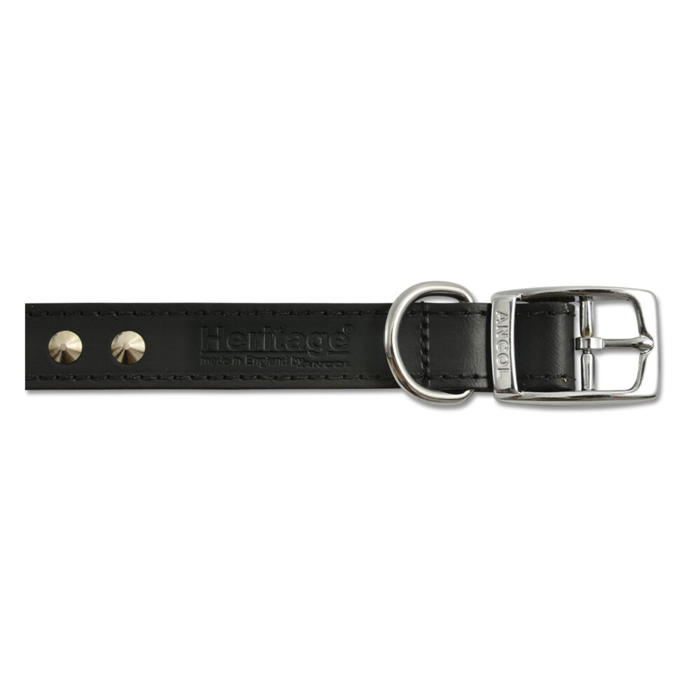 Heritage Leather Studded Collar Black 25mm X45-54cm Sz 6