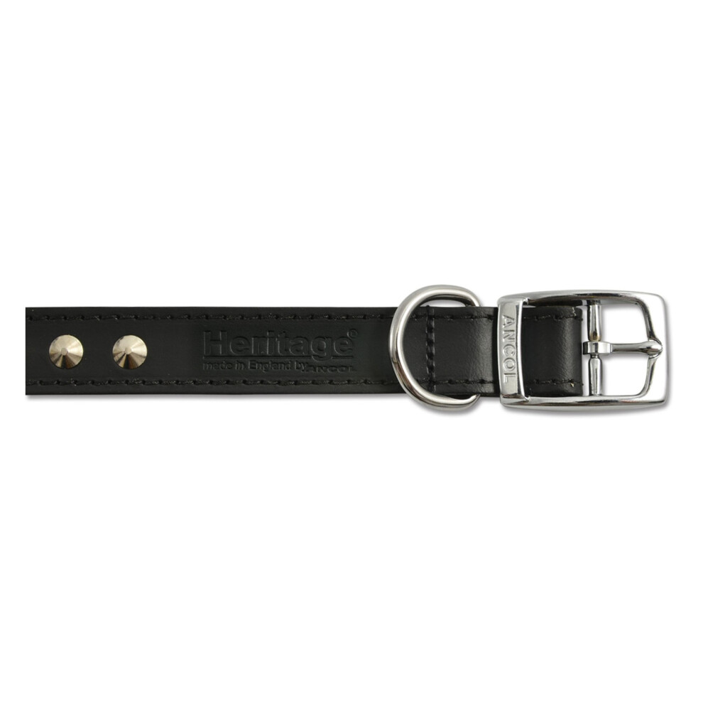 Ancol Heritage Leather Studded Collar 25Mm X45-54Cm Sz 6 Black