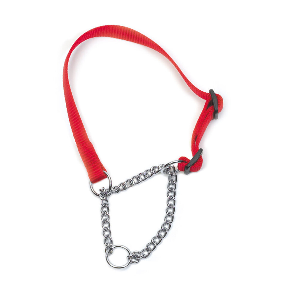 Heritage Nylon & Chain Check Collar Red 10mmx25-35cm Sz1-2