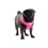 Ancol Comfort Mesh Dog Harness Pink Large 53-74cm 1