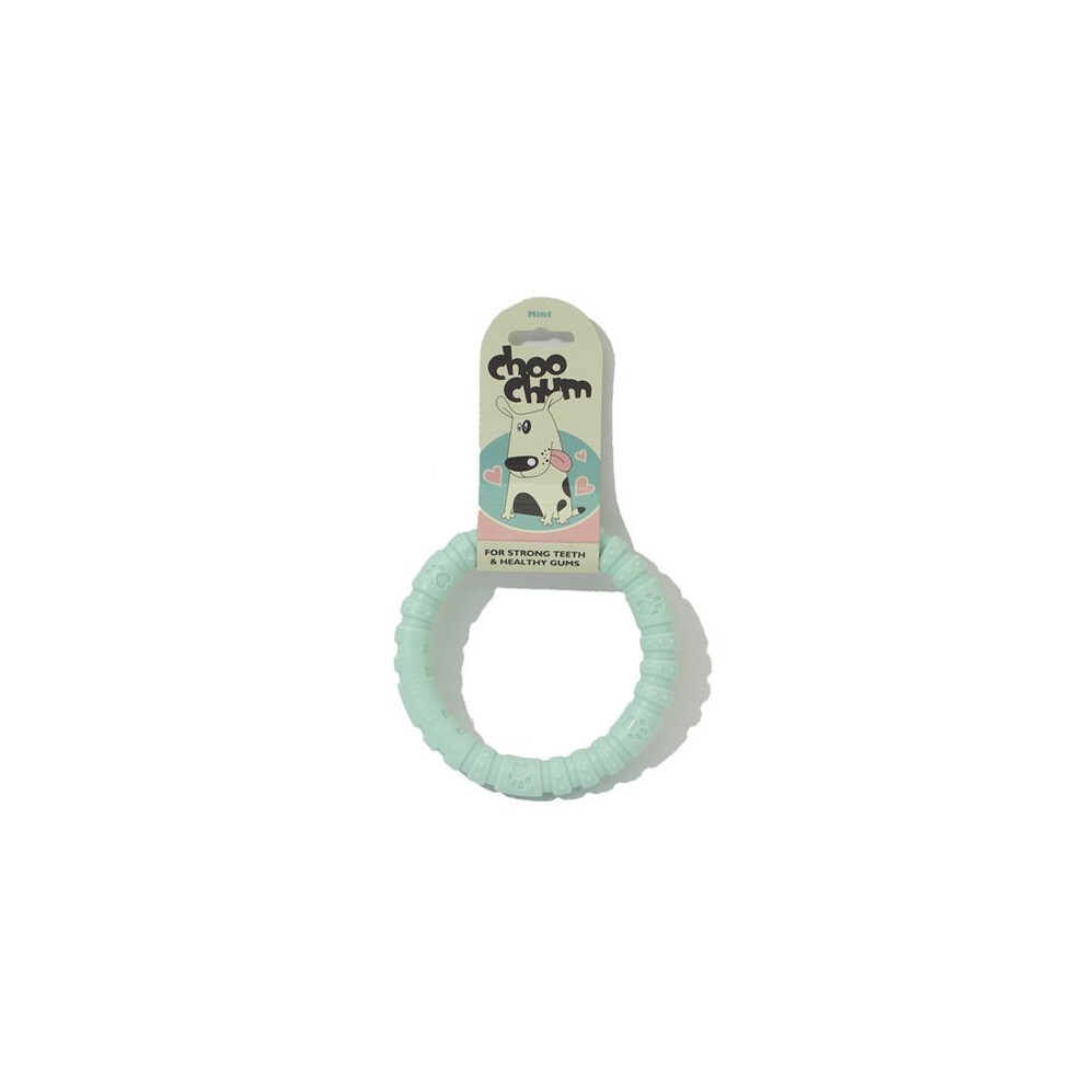 Tough Toys Nylon Dog Chew Mint Ring Small 9cm