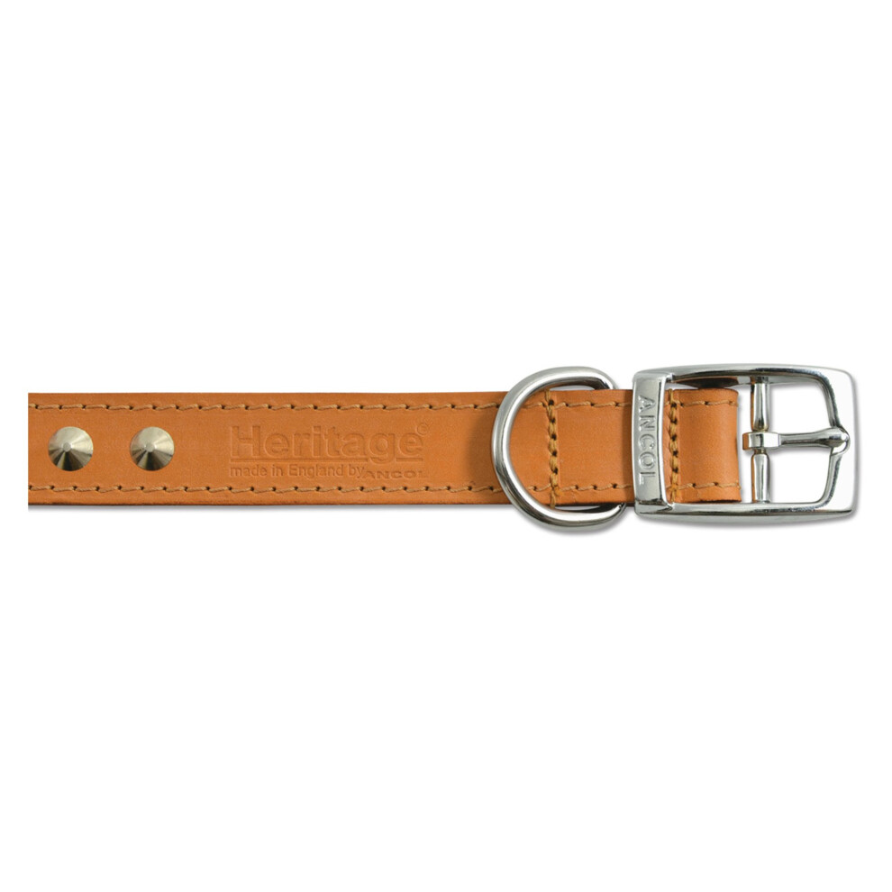 Heritage Leather Studded Collar Tan 16mm X28-36cm Sz 3