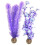Biorb Kelp Purple Medium 1