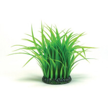 Biorb Grass Ring Green Medium