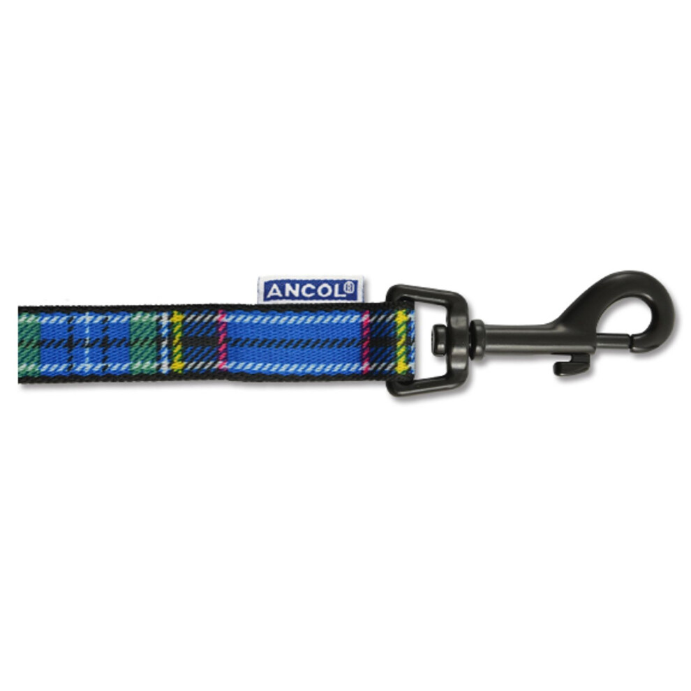 Indulgence Nylon Lead Tartan Blue 19mm X1m