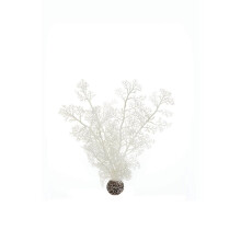 Biorb Sea Fan White Medium